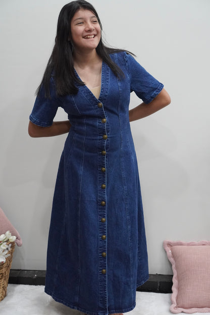 Victoria Denim Dress