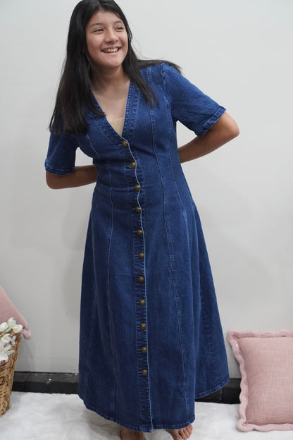 Victoria Denim Dress