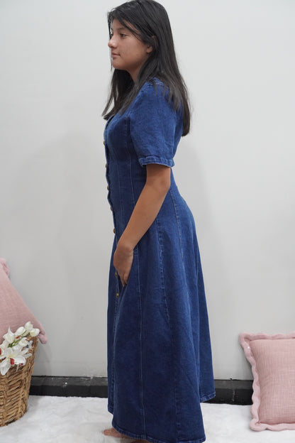 Victoria Denim Dress